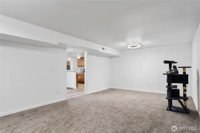 Very large family room on lower level