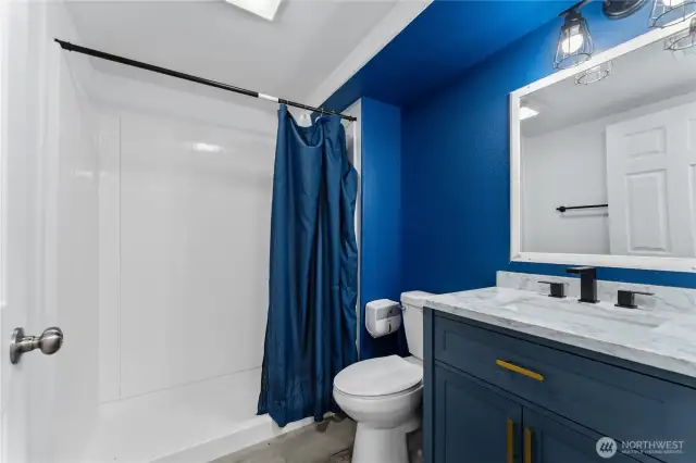 Lower level bathroom