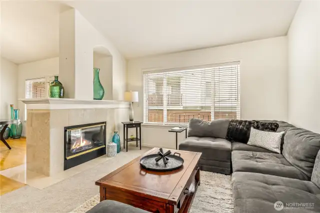 Dual Sided Gas Fireplace