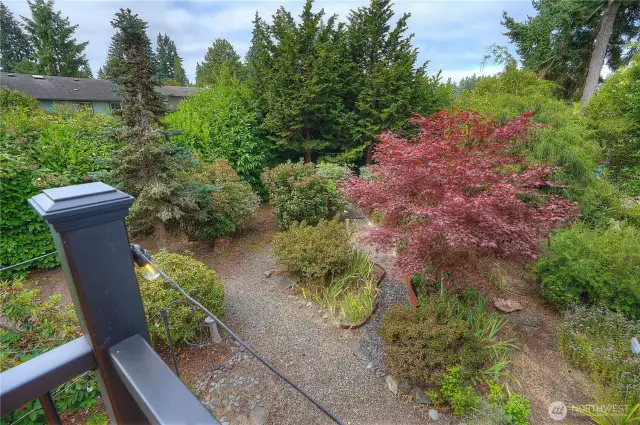 Back yard is a gardener's paradise
