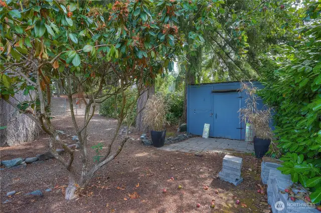 Garden Shed