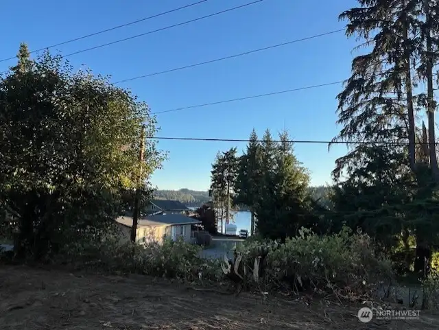 At ground level looking south at Kitsap Lake