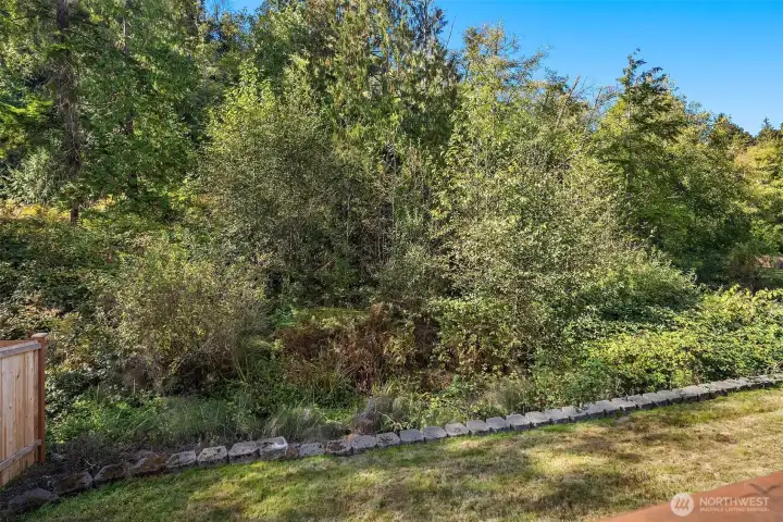 Lush green belt with private pond. Tons of fun and exploration.
