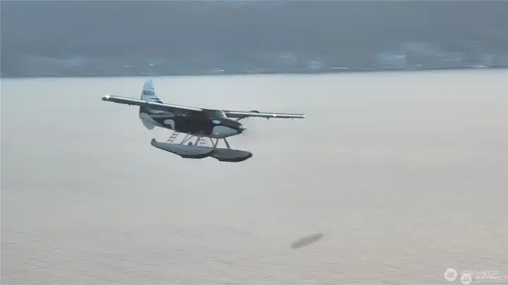 Seaplanes put on a show throughout the day. Such a treat!