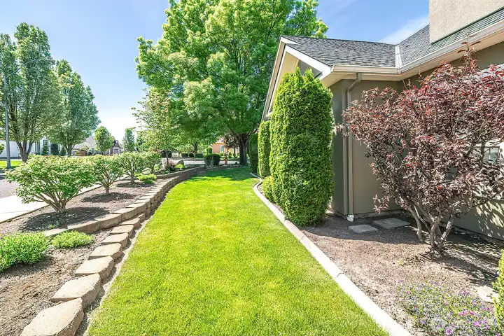 Front yard, landscaped with garden beds. The large ash tree is one of the largest in the city.