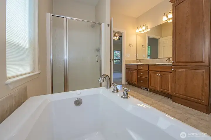 Primary Suite bathroom