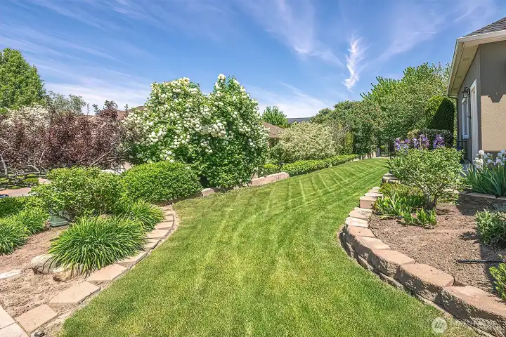 Low maintenance back yard
