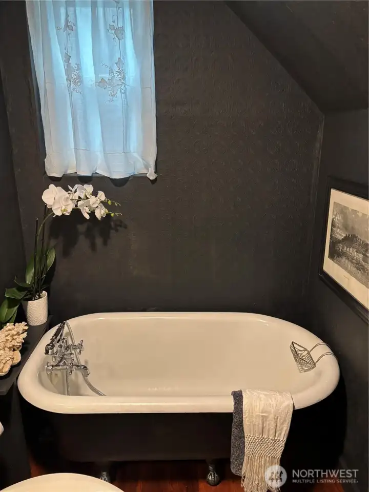 Even a cozy clawfooted tub, also plumbed as a shower.