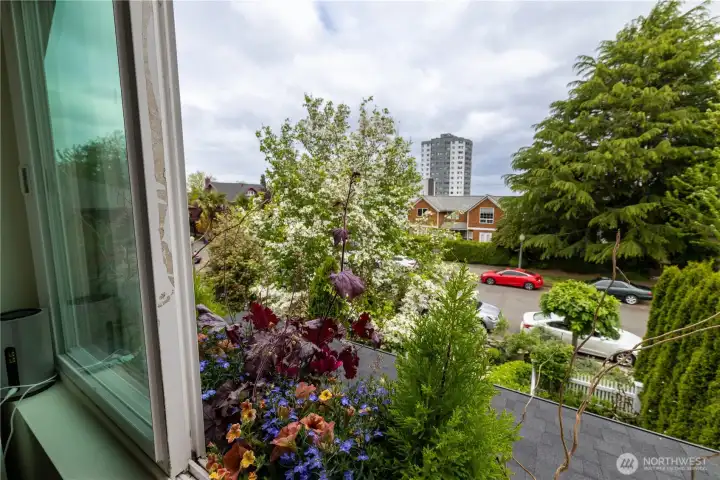 Lovely view, sunshine and flower box from the front bedroom window.