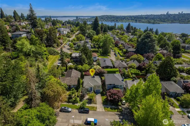 Enjoy the best of NE Seattle: Laurelhurst Beach Club just 1/2 mile away, stroll to U-Village and Children's and the endless lovely trails of the Urban Horticultural Center.