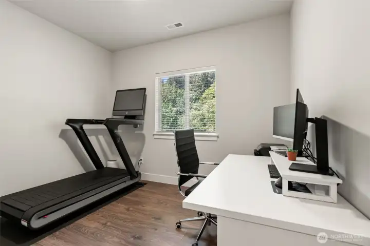 Main floor den/guest bedroom.