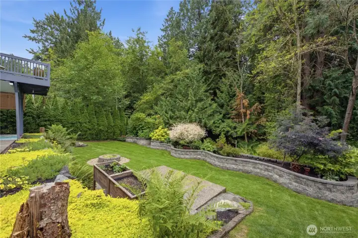 Wow look at the beautiful backyard! Wow look at the beautiful backyard!