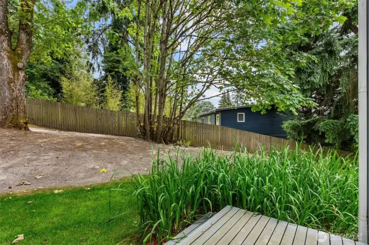Side Yard Side Yard