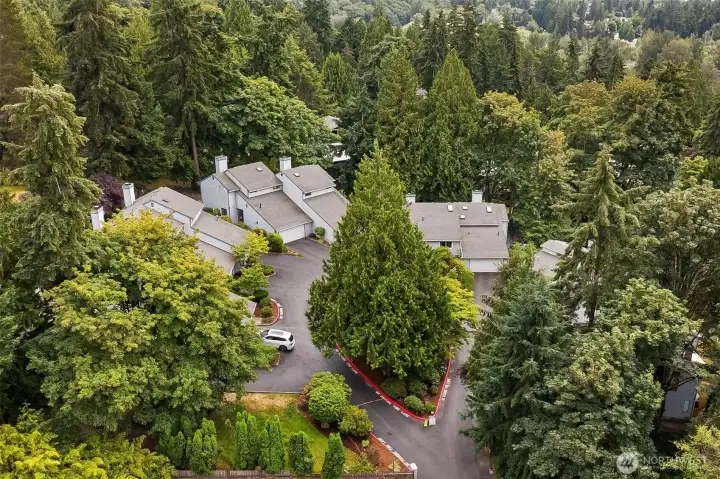 Neighborhood Aerial Neighborhood Aerial