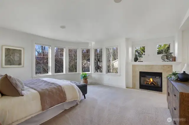 Relaxing primary suite with remote controlled blinds, soaking tub and gas fireplace. Rounded, sheer wall of windows and vaulted ceilings bring in the natural sunlight year-round. This bedroom design is one of a kind.