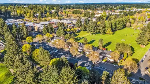 Community View