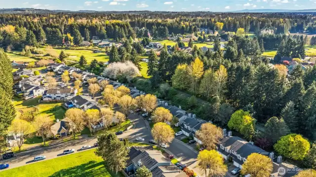 Community View