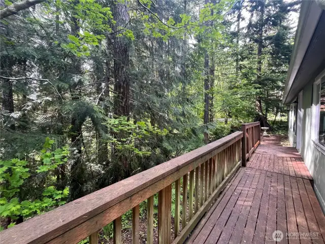Back deck overlooking the forest