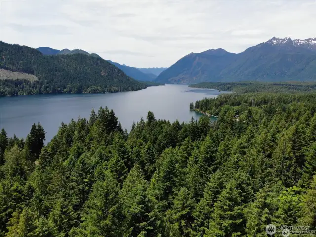 Lake Cushman - Live, Adventure & Relax in this beautiful area!