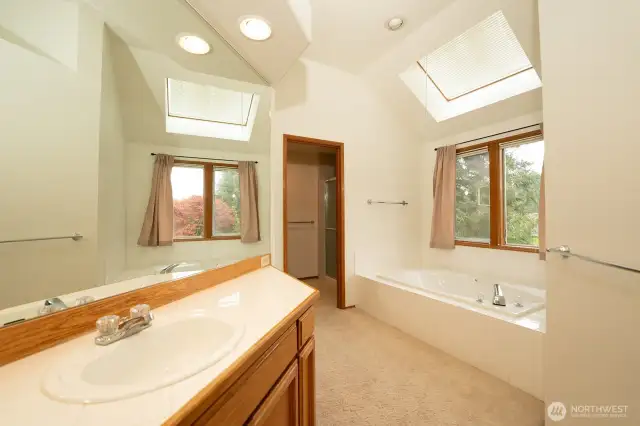 5 piece primary bathroom with skylight