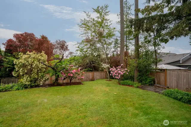 Landscaped yard