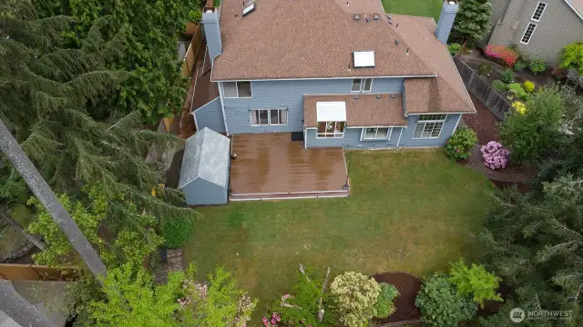 Aerial perspective of the backyard
