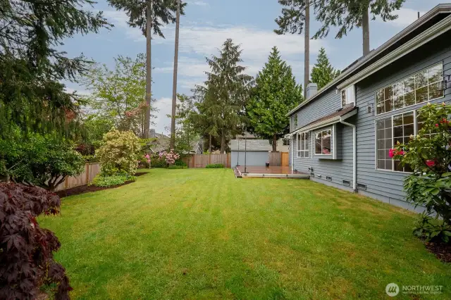 Level backyard