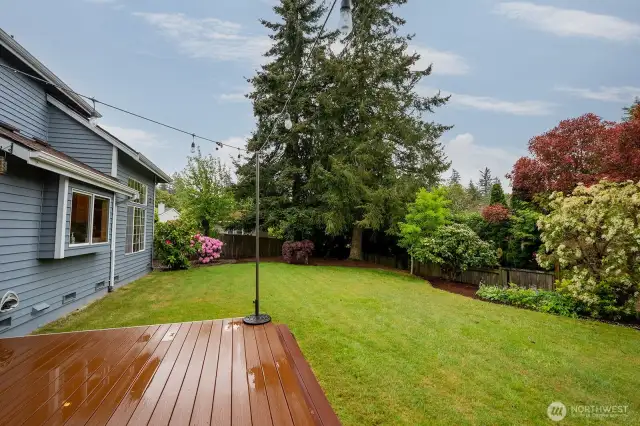 Styled yard