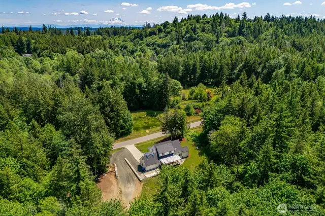 Springer Hills offers the kind of peaceful privacy that only 5-acre living can provide. In the evenings you'll hear the gentle chorus of frogs, the rustle of deer through the underbrush and the occasional hoot of an owl.