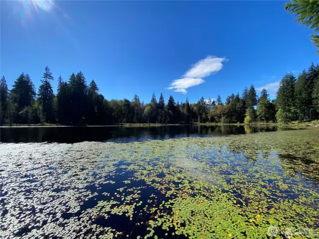 Enjoy access to peaceful, stocked Springer Lake-- exclusive to the Springer Hills community.  Spend the day fishing, kayaking or just reflecting on the beauty of nature. Relax, reflect, recharge!