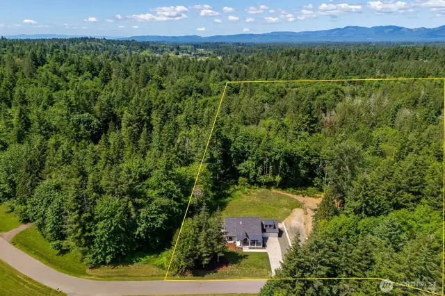 The expansive yard is surrounded by lush evergreen and deciduous trees--ideal for play and and exploration. The right side of the yard was cleared to eventually build a shop & ADU.