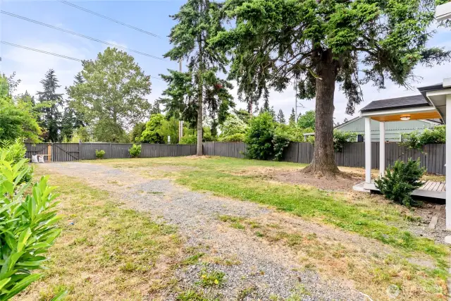 Driveway