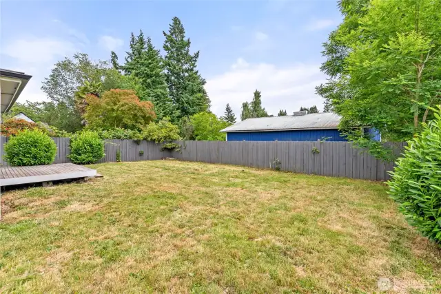 Nice size backyard