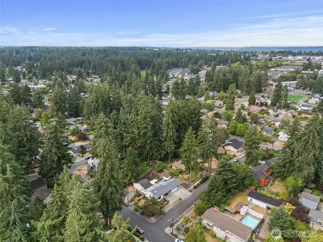 Close to China Lake Park, Shopping, Chambers Bay Beach, Community Center, Cheney Stadium, Restaurants & Hwy 16!