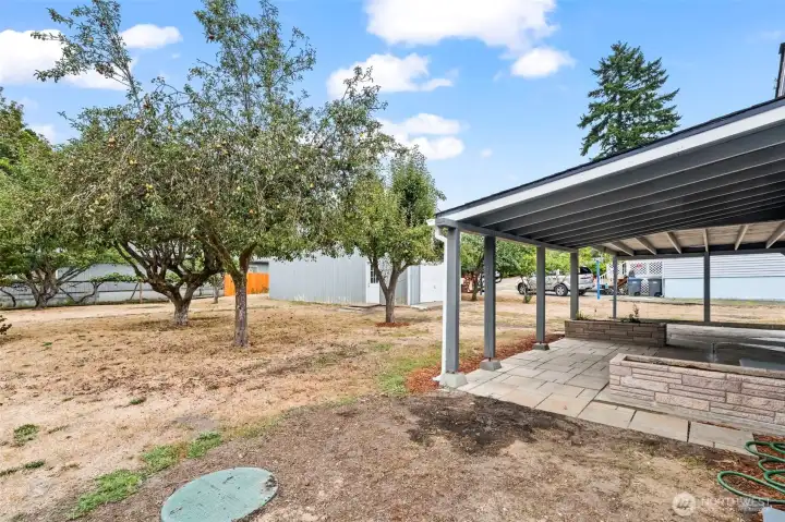 Backyard with fruit trees.