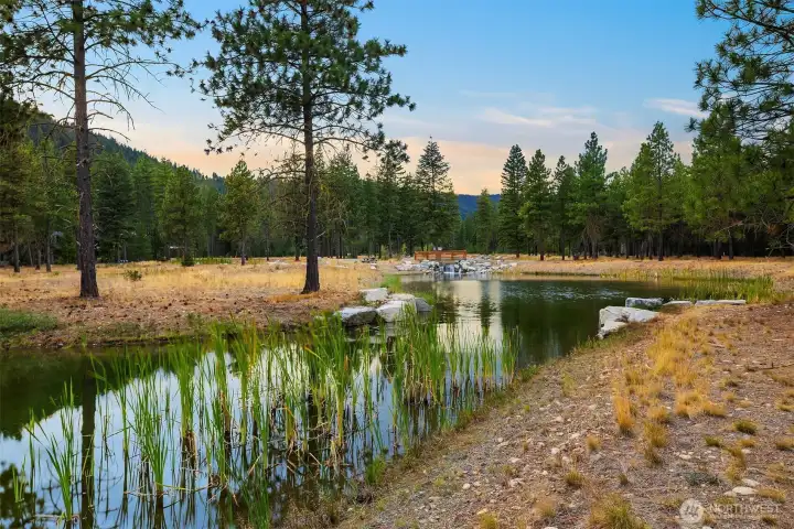 Paintbrush lake in your backyard!