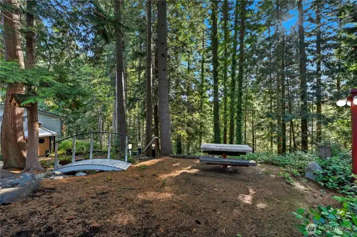 Bridge to the picnic area!