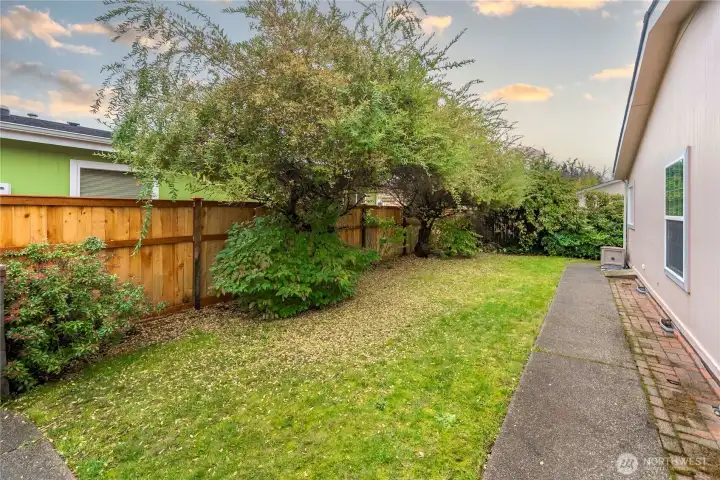 Backyard of the home.