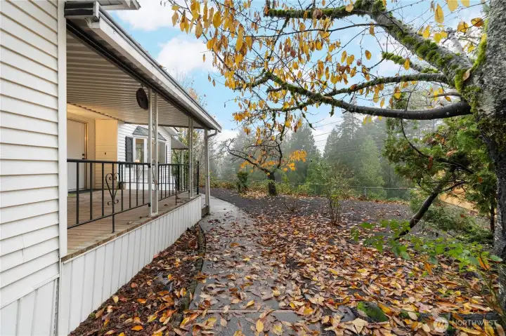 View of the Greenbelt in Backyard