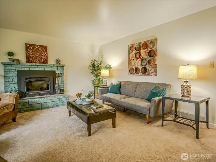 Wood burning Fireplace for co/y living room
