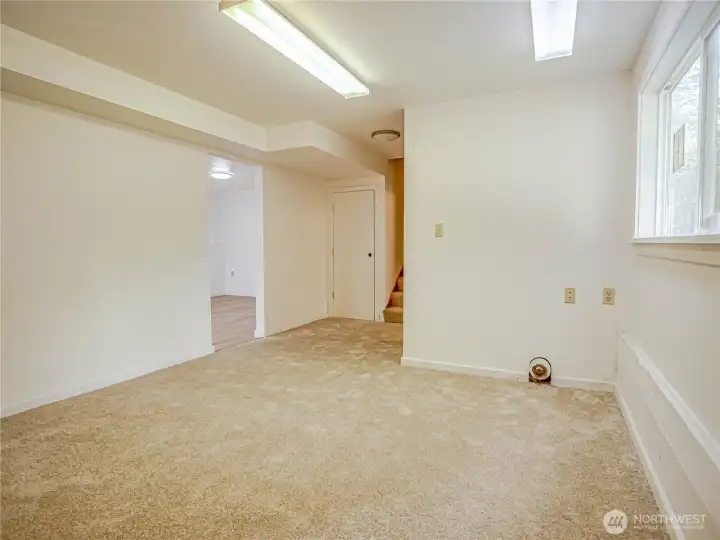 Huge room with new carpet downstairs
