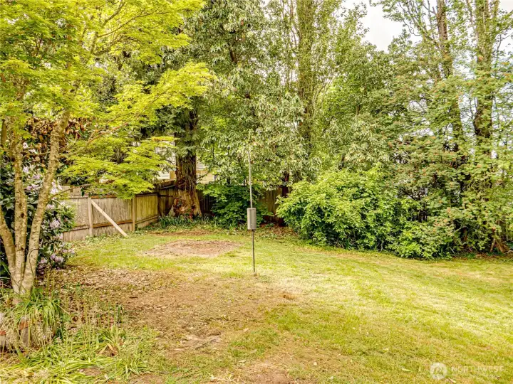 backyard with lots of room to roam!