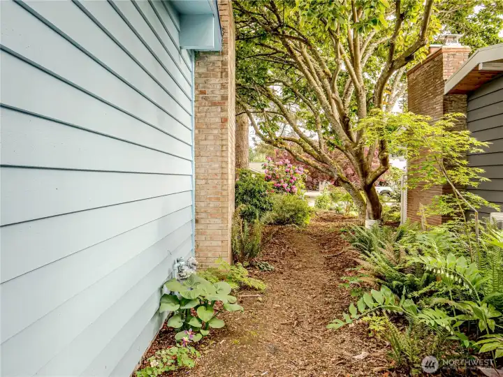 side yard
