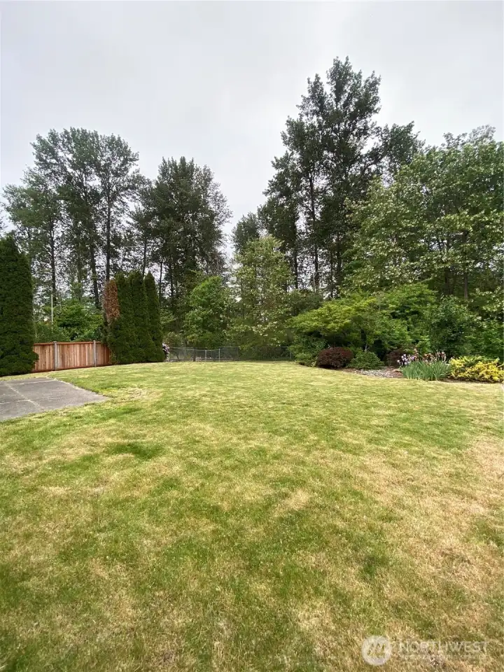 This backyard is private! This backyard is private!