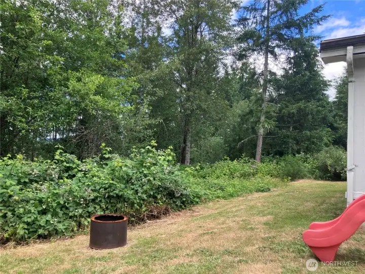 back yard back yard