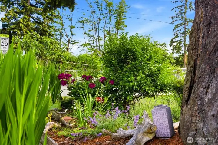 Lush garden beds, ready for your vision.