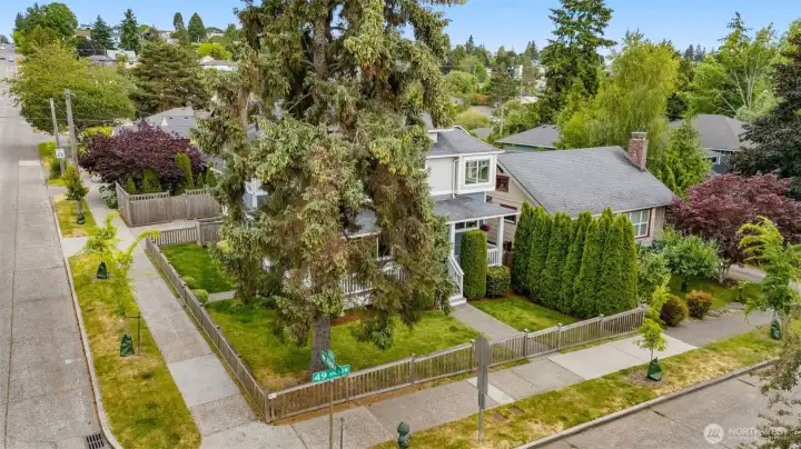 Across the street from Eccolini park!