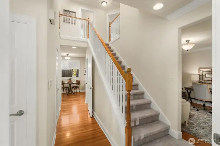 New carpet on staircase leading upstairs