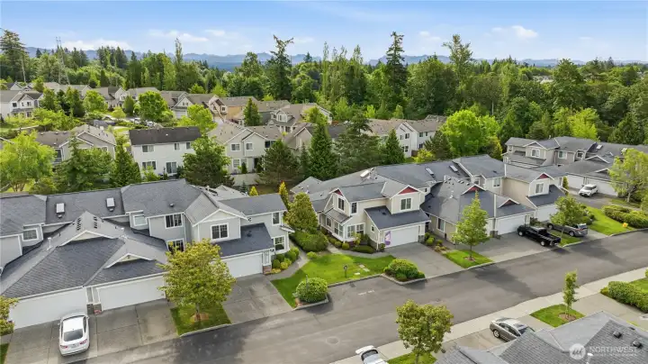 Community view
