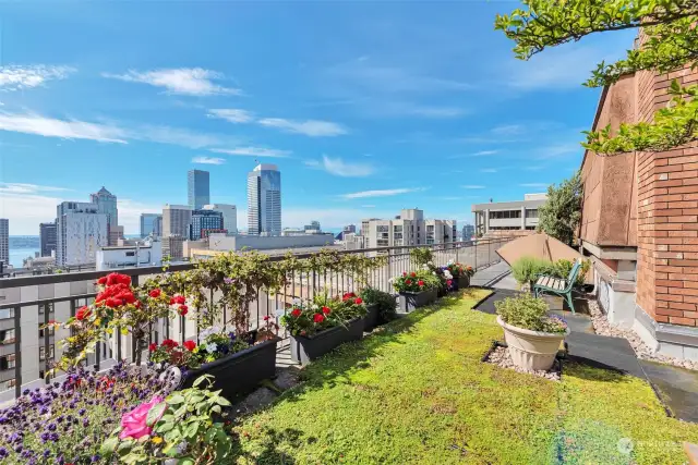 Relax on the Rooftop deck